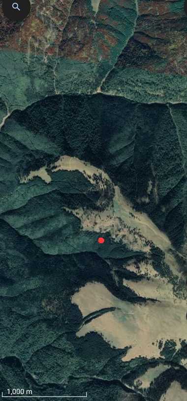 UPDATE - Ucrainean căutat în Munţii Maramureşului / Ar fi trecut graniţa şi s-a rătăcit / Alţi patru cetăţeni ucraineni, depistaţi ăn zona montană / Apel satelitar pentru a anunţa Poliţia de Frontieră 