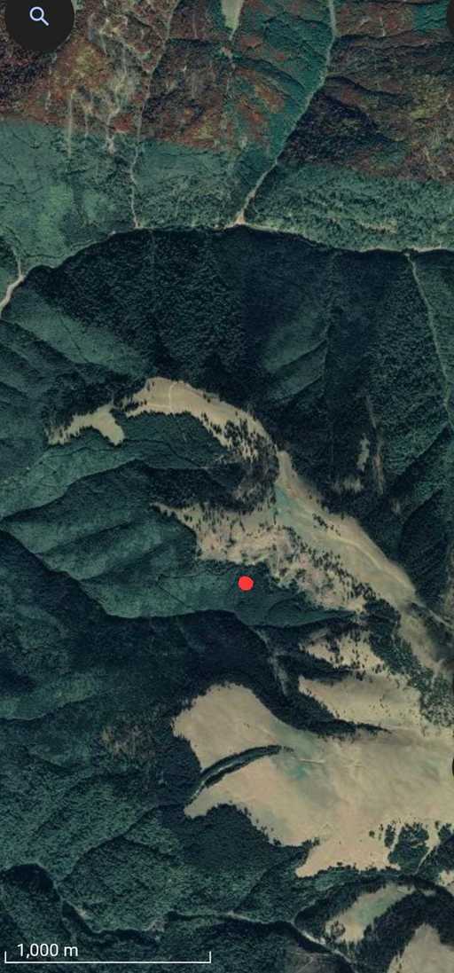 UPDATE - Ucrainean căutat în Munţii Maramureşului / Ar fi trecut graniţa şi s-a rătăcit / Alţi patru cetăţeni ucraineni, depistaţi ăn zona montană / Apel satelitar pentru a anunţa Poliţia de Frontieră 