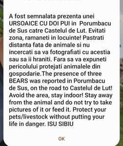 Mesaj RO-Alert în judeţul Sibiu, după semnalarea prezenţei unei ursoaice cu doi pui în zona unui obiectiv turistic  