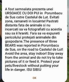 Mesaj RO-Alert în judeţul Sibiu, după semnalarea prezenţei unei ursoaice cu doi pui în zona unui obiectiv turistic  