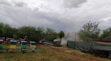Botoşani: O platformă apicolă cu 20 de stupi a luat foc, după ce a fost lovită de trăsnet - FOTO