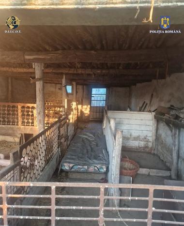 Soţ şi soţie din Bihor, cercetaţi pentru că au exploatat prin muncă un bărbat cu probleme psihice, încă din 2011 / L-au cazat în condiţii improprii, i-au luat actele şi încasau ajutorul social în numele lui