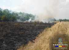 Dâmboviţa: Intervenţie de peste patru ore a pompierilor pentru stingerea unui incendiu de vegetaţie