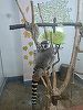 Un tânăr a furat un lemur de la Grădina Zoologică din Călăraşi. Animalul a fost găsit într-o clădire abandonată