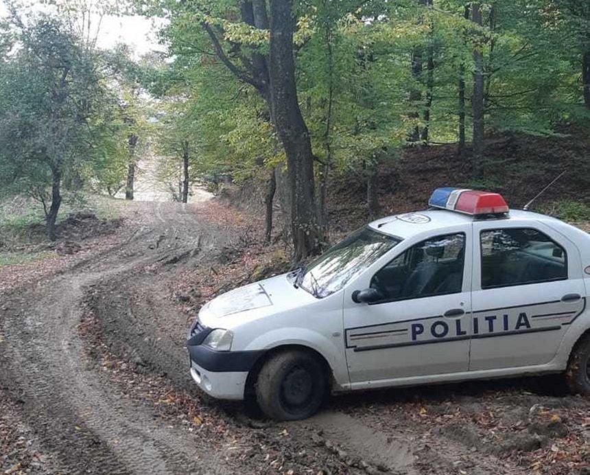 Incident la o fermă de animale din judeţul Argeş: Cinci bărbaţi au ajuns la spital şi peste 50 de oi au murit, după ce s-a folosit o substanţă pentru spălarea animalelor