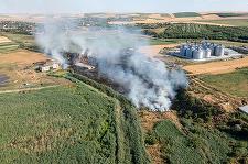 Tulcea: Incendiu la un lan de grâu / Focul a ameninţat mai multe depozite de cereale şi o staţie GPL