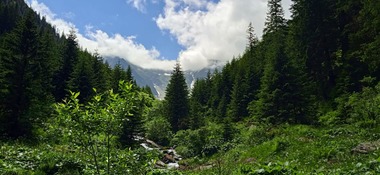 Avertisment al Salvamont Braşov: Ciobanii au început să ducă oile la vale / Recomandăm turiştilor să se deplaseze cu precauţie şi să evite stânele şi zonele cu câini agresivi

