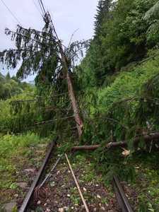 Trafic oprit temporar între Topliţa şi Lunca Bradului pentru îndepărtarea copacilor căzuţi pe calea ferată. Două trenuri de călători sunt oprite în staţii - FOTO
