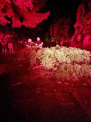 Intervenţii ale pompierilor în mai multe zone, în urma vijeliilor. Mii de consumatori au rămas fără energie electrică - FOTO
