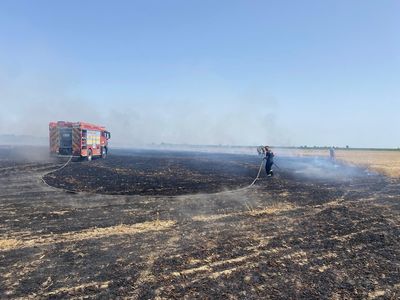 Prahova: 50 de hectare de teren, afectate de un incendiu de vegetaţie, flăcările au distrus şi un lan de grâu
