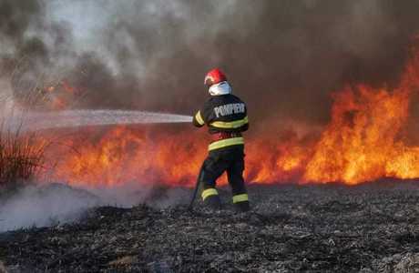 Teleorman: 15 incendii de vegetaţie uscată, duminică, până la ora 17:00. Pompierii fac apel la populaţie să anunţe când observă persoane care dau foc la mirişti 
