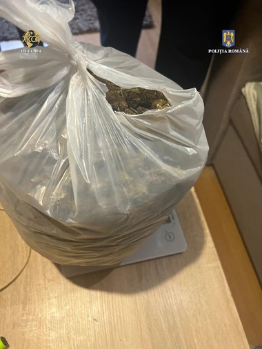 Satu Mare: Trei persoane, prinse în flagrant în timp ce încercau să vândă un kilogram de canabis cu peste 28.000 de lei