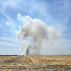 Puternic incendiu în judeţul Giurgiu / Au ars 100 de hectare de mirişte de grâu şi 2,5 hectare dintr-un lan de grâu netreierat / Mai multe culturi, în pericol