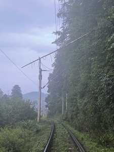 Harghita: Trafic feroviar oprit din cauza unor copaci căzuţi

