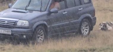 Cluj: Bărbat cercetat penal şi amendat contravenţional, după ce a fost filmat târând cu autoturismul un câine legat cu o sfoară
