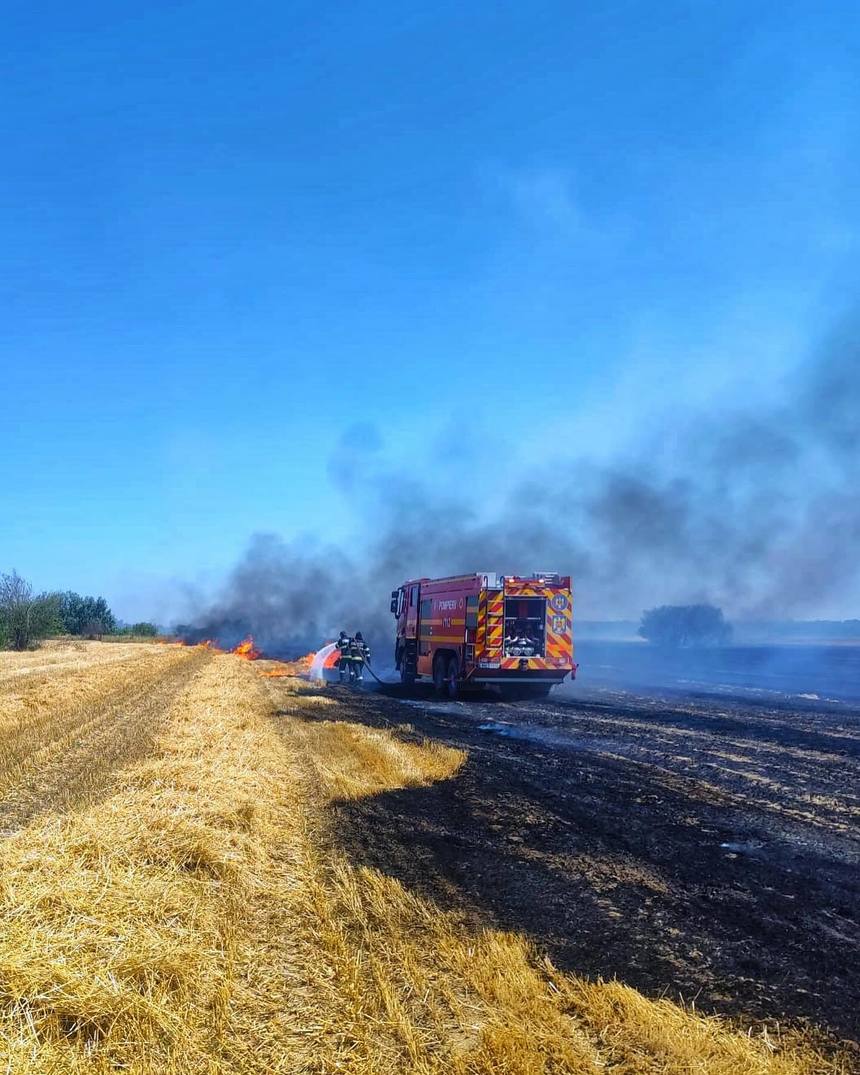 Giurgiu: Incendiu pe o suprafaţă de 30 de hectare / Pompierii au reuşit să salveze un lan de floarea soarelui, un teren de fotbal şi mai multe solarii