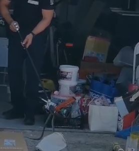Târgovişte: O femeie a găsit un şarpe în garajul din curtea casei. Reptila a fost îndepărtată de către jandarmi - FOTO, VIDEO
