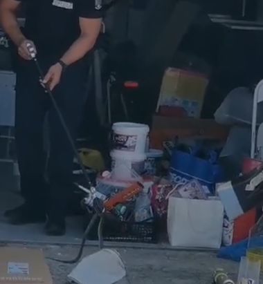 Târgovişte: O femeie a găsit un şarpe în garajul din curtea casei. Reptila a fost îndepărtată de către jandarmi - FOTO, VIDEO
