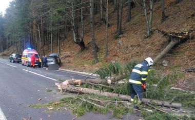 UPDATE - Arad: Un copac a căzut pe carosabil, pe DN 7, fiind lovit de o maşină / O persoană a fost rănită. fiind transportată la spital

