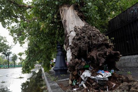 ISU Bucureşti-Ilfov: 83 de solicitări, până la ora 20.00, în urma furtunii / Au căzut 70 de copaci şi au fost avariate 41 de vehicule - FOTO