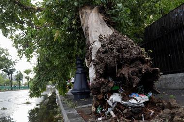 ISU Bucureşti-Ilfov: 83 de solicitări, până la ora 20.00, în urma furtunii / Au căzut 70 de copaci şi au fost avariate 41 de vehicule - FOTO