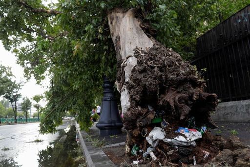 ISU Bucureşti-Ilfov: 83 de solicitări, până la ora 20.00, în urma furtunii / Au căzut 70 de copaci şi au fost avariate 41 de vehicule - FOTO