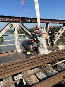 Misiune inedită a pompierilor din Alba pentru salvarea unui cal rămas blocat, cu partea din spate a corpului, într-un pod din metal - FOTO, VIDEO
