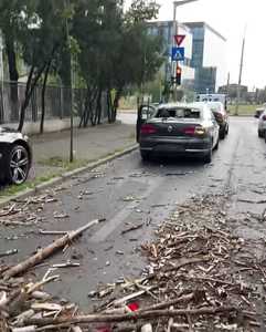 UPDATE - Cod portocaliu de furtună în Bucureşti – Rafale de vânt de peste 75 de kilometri la oră/ Pompierii au avut 33 de solicitări, majoritatea pentru îndepărtarea unor copaci căzuţi/ Au fost avariate 14 autovehicule - FOTO / VIDEO 