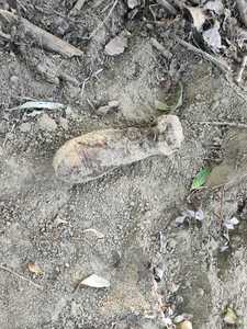 Satu Mare: Bombă de aruncător descoperită în zona unui pod pietonal peste Someş - FOTO