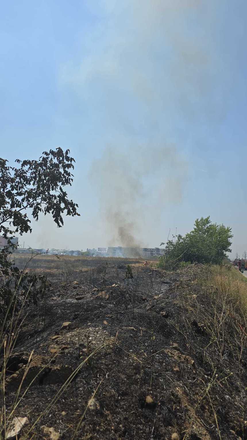 UPDATE - Incendiu de vegetaţie uscată la Chiajna, extins pe 50.000 de metri pătraţi / Nu s-au înregistrat victime