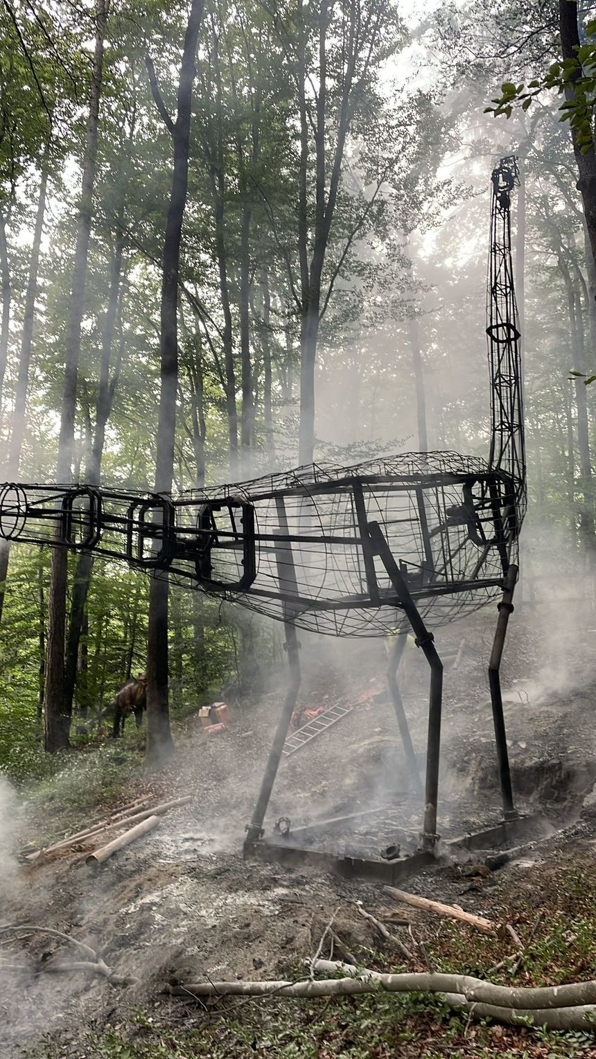 Braşov: Incendiu la Dino Parc din Râşnov/ Un dinozaur de zece metri a luat foc - FOTO, VIDEO