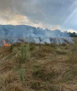 Alba: Incendiu de vegetaţie în apropiere de A10