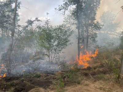 Giurgiu: Un incendiu a cuprins 42 de hectare de teren, inclusiv lizieră şi o parte dintr-o pădure. Intervenţia pompierilor, dificilă di cauza vântului
