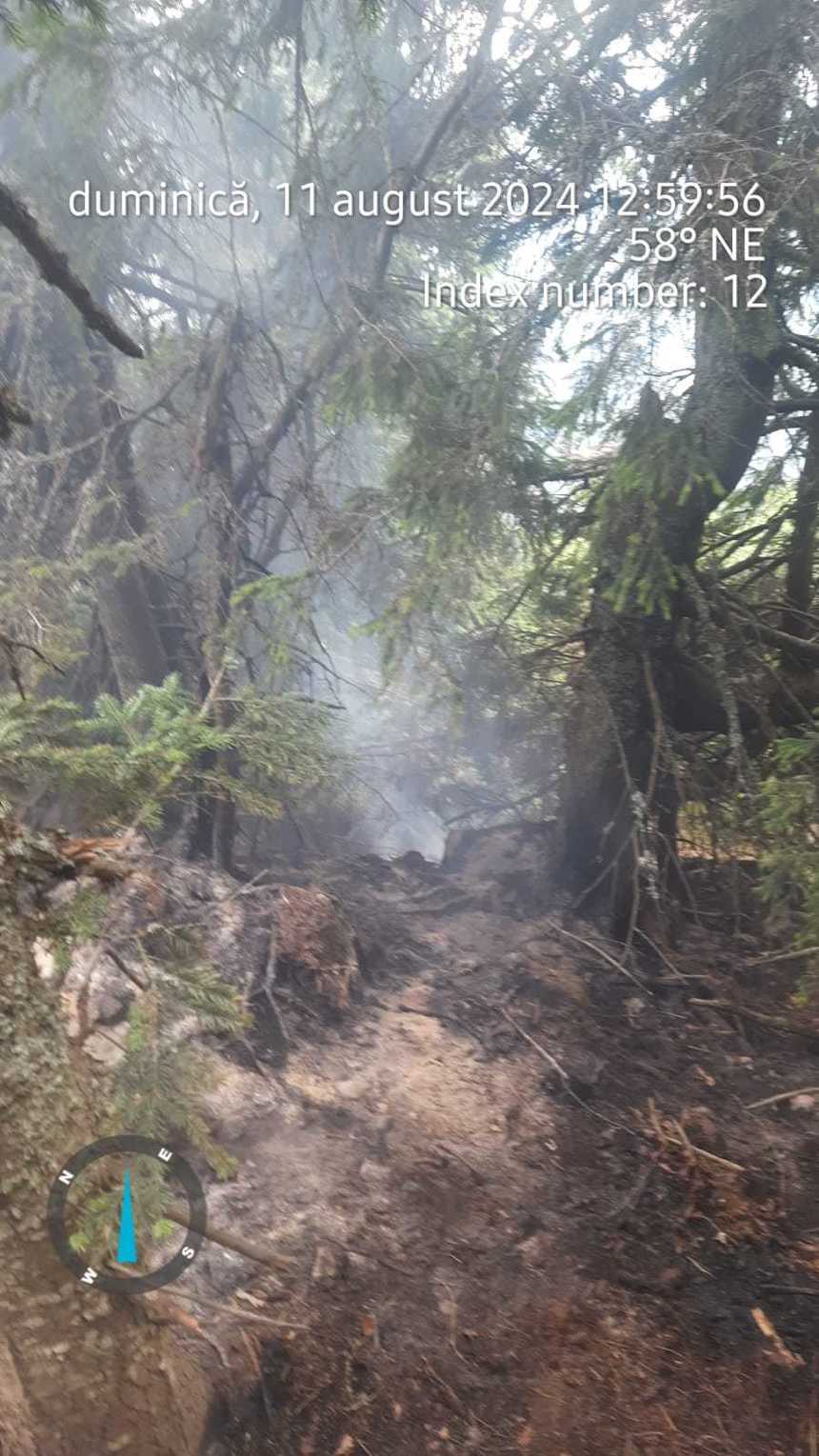 Incendiu de fond forestier în judeţul Vâlcea / Focul se manifestă în Masivul Buila, într-o zonă greu accesibilă / Intervine un elicopter



