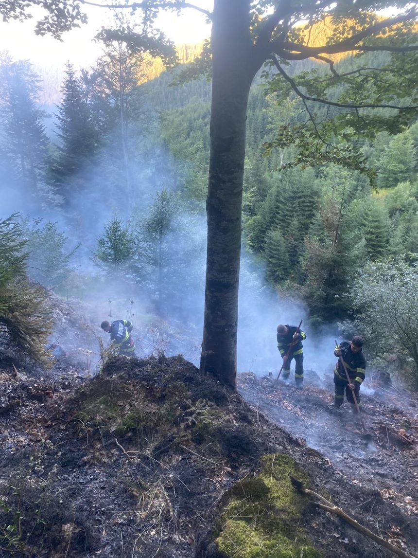 Sibiu - Pompierii încă intervin pentru stingerea incendiului de vegetaţie izbucnit după ce un ATV căzut într-o râpă din zona Păltiniş a luat foc - FOTO