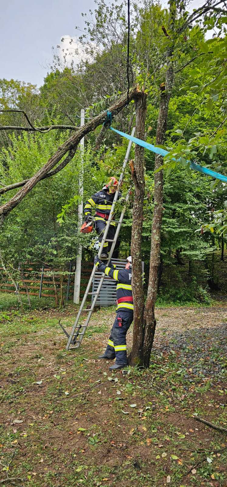 Furtună puternică, în judeţul Hunedoara/ Mai mulţi copaci au căzut pe drumuri şi cabluri de electricitate/ Accesul spre Mănăstirea Prislop, blocat după ce un arbore a fost doborât de vânt - VIDEO