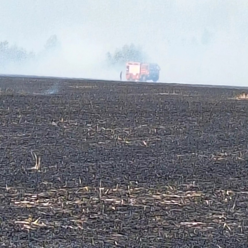 Incendii de vegetaţie pe marginea autostrăzii A1, în judeţele Giurgiu şi Alba 