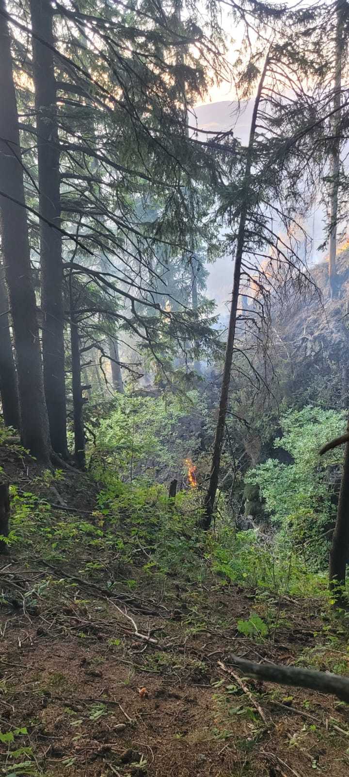 Braşov: Incendiu de pădure în zona cabanei Piatra Mare/ Accesul în zonă este foarte dificil/ Se intervine cu un elicopter cu sistem Bambi Bucket - FOTO, VIDEO