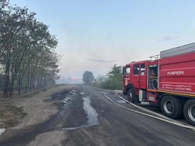 UPDATE - Incendiu de vegetaţie pe 25 hectare de teren, la marginea oraşului Timişoara/ Incendiul a fost stins