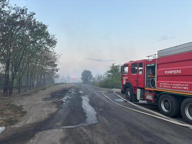 UPDATE - Incendiu de vegetaţie pe 25 hectare de teren, la marginea oraşului Timişoara/ Incendiul a fost stins
