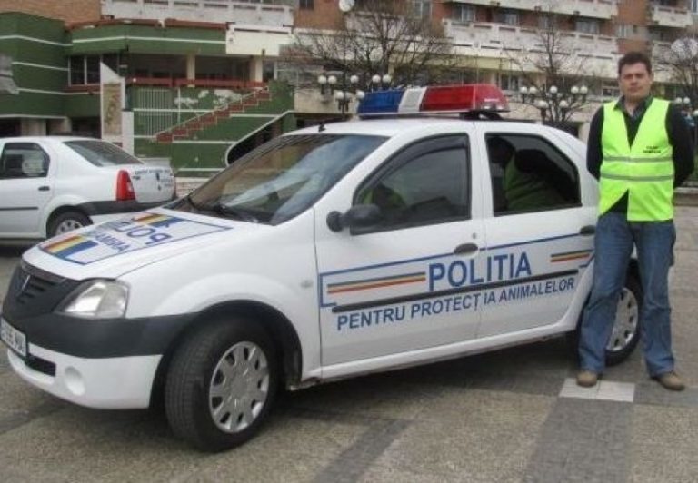 Botoşani: Bărbat amendat cu 12.000 de lei, după ce a abandonat mai mulţi pui de pisică