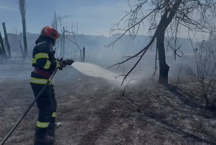 UPDATE - Bucureşti - Incendiu de vegetaţie uscată în Parcul IOR / Incendiul a fost localizat - FOTO, VIDEO