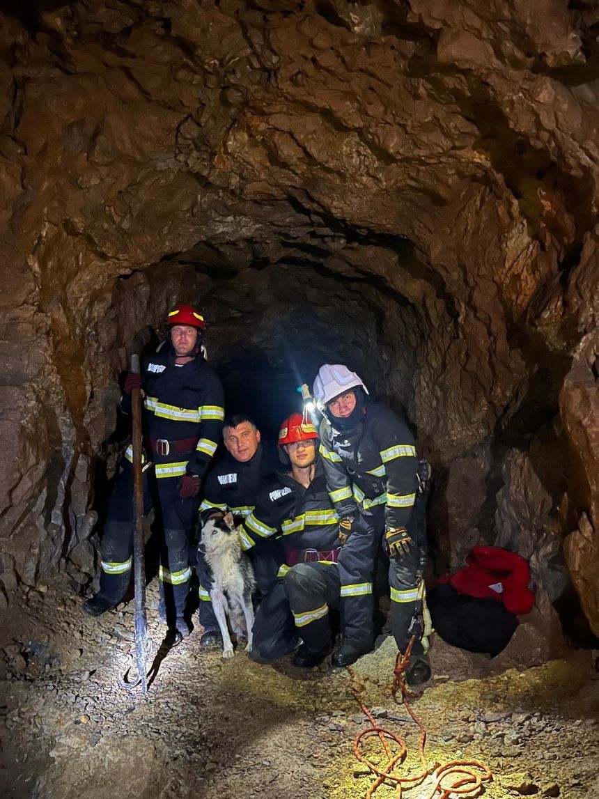 Tulcea: Un câine a fost salvat de pompieri dintr-o groapă adâncă de zece metri, într-o mină dezafectată - VIDEO
