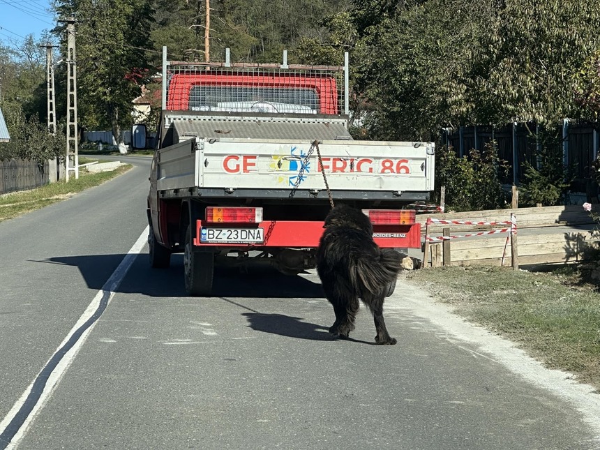 Imagine cu un câine legat de o maşină, distribuită în mediul online / Poliţia a făcut verificări / Câinele nu ar fi fost în pericol / Proprietarul amendat - FOTO