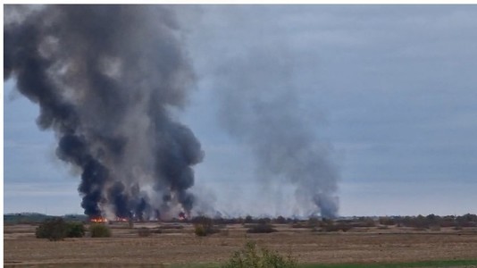 Incendiu pe apoximativ 60 de hectare, în Delta Neajlovului. A fost sesizată Garda de Mediu - FOTO