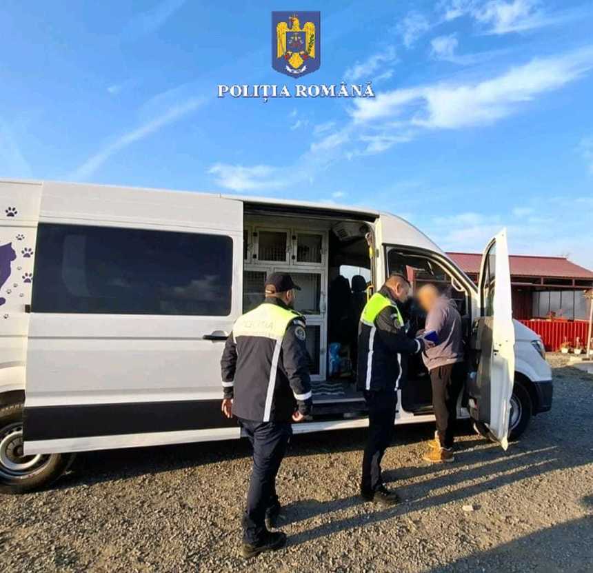 Transport ilegal de câini şi pisici, oprit în Hunedoara/ Animalele ar fi trebuit să ajungă în Anglia, însă nu aveau documentele prevăzute de lege pentru export/ Angajaţi ai DSVSA Timiş, cercetaţi penal