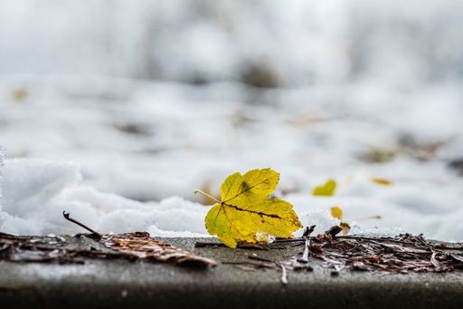 Meteorologii anunţă temperaturi mai coborâte decât cele obişnuite, până la jumătatea lunii decembrie