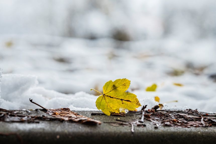 Meteorologii anunţă temperaturi mai coborâte decât cele obişnuite, până la jumătatea lunii decembrie