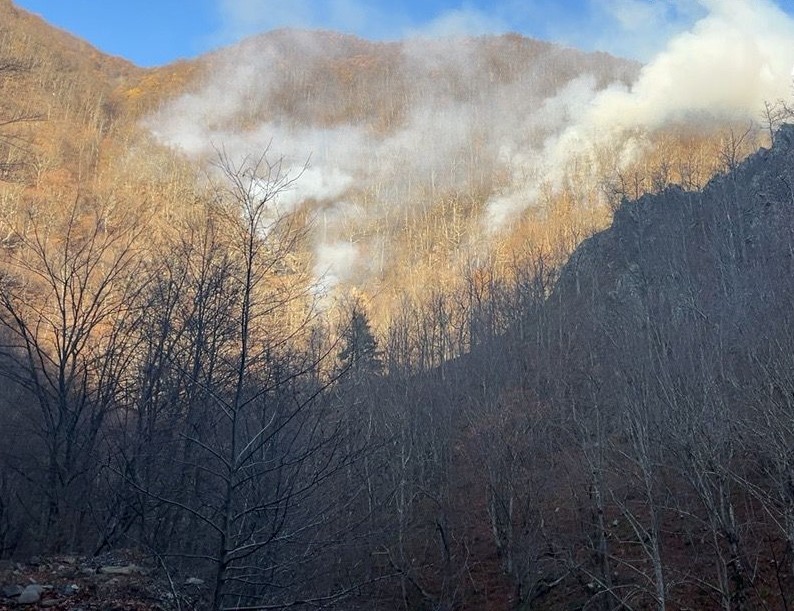 Incendiu de litieră în judeţul Vâlcea – Focul s-a extins pe zece hectare / Pompierii au cerut sprijin aerian