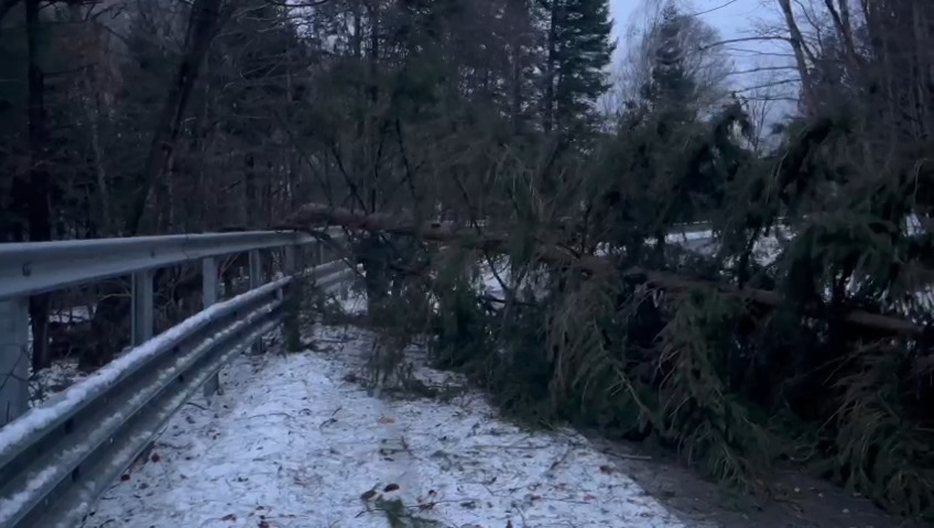 Alba: Trafic îngreunat pe Transalpina, după ce mai mulţi copaci au căzut pe carosabil - FOTO
